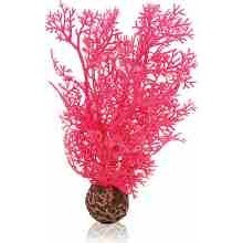 biOrb Horn Coral S (1) (1)